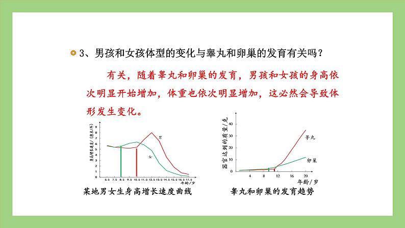 人教版七年级下册生物 4.1.3青春期（课件）06