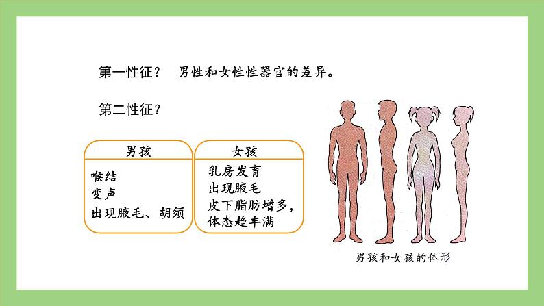 人教版七年级下册生物 4.1.3青春期（课件）07