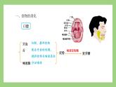 人教版七年级下册生物 4.2.2消化和吸收（第2课时）（课件）