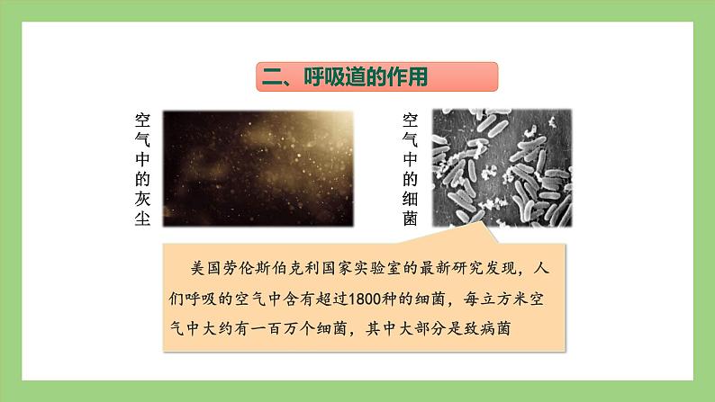 人教版七年级下册生物 4.3.1呼吸道对空气的处理（课件）05