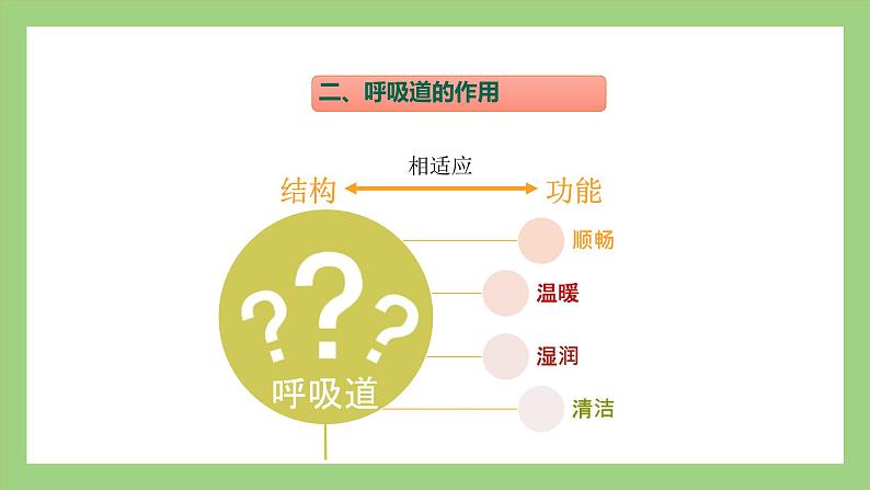 人教版七年级下册生物 4.3.1呼吸道对空气的处理（课件）08