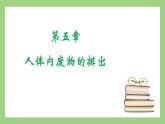 人教版七年级下册生物 4.5人体内废物的排出（课件）