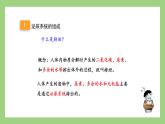 人教版七年级下册生物 4.5人体内废物的排出（课件）