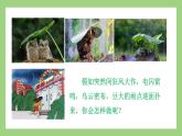 人教版七年级下册生物 4.6.1（第1课时）人体对外界环境的感知（课件）