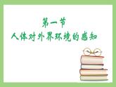 人教版七年级下册生物 4.6.1（第1课时）人体对外界环境的感知（课件）