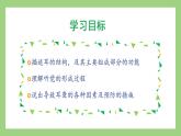 人教版七年级下册生物 4.6.1（第2课时）人体对外界环境的感知（课件）