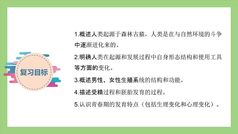 人教版七年级下册生物 期末复习 专题一 人的由来（课件）02