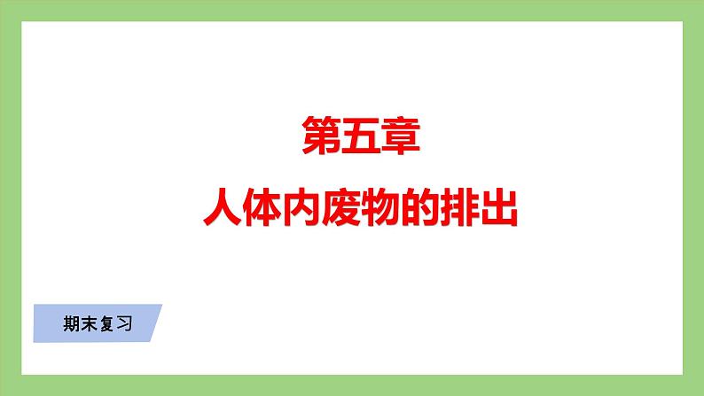 人教版七年级下册生物 期末复习 专题五 人体内废物的排出（课件）第1页