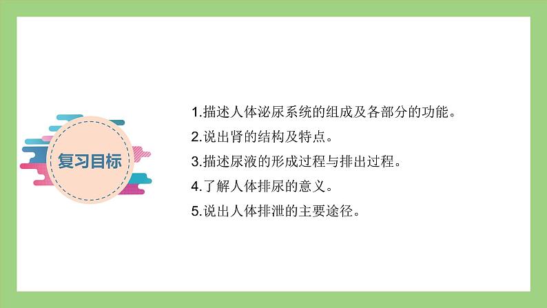 人教版七年级下册生物 期末复习 专题五 人体内废物的排出（课件）第2页