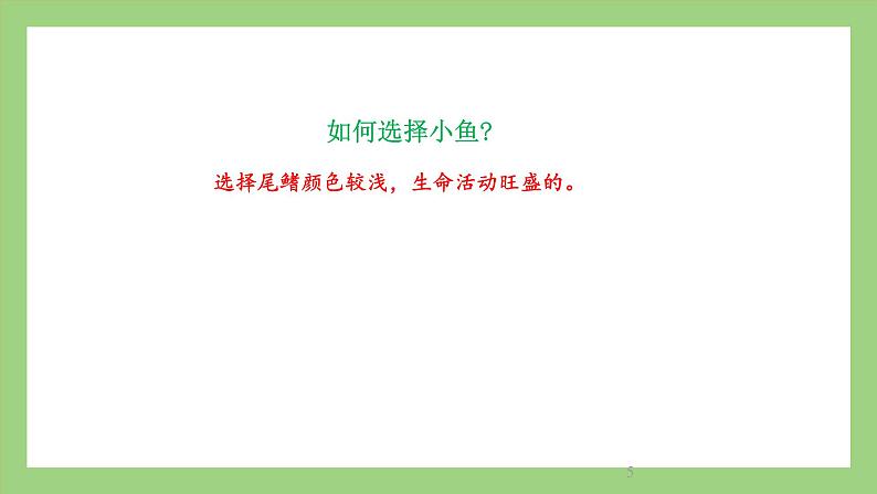 人教版七年级下册生物 4.4.2血流的管道——血管（课件）第5页