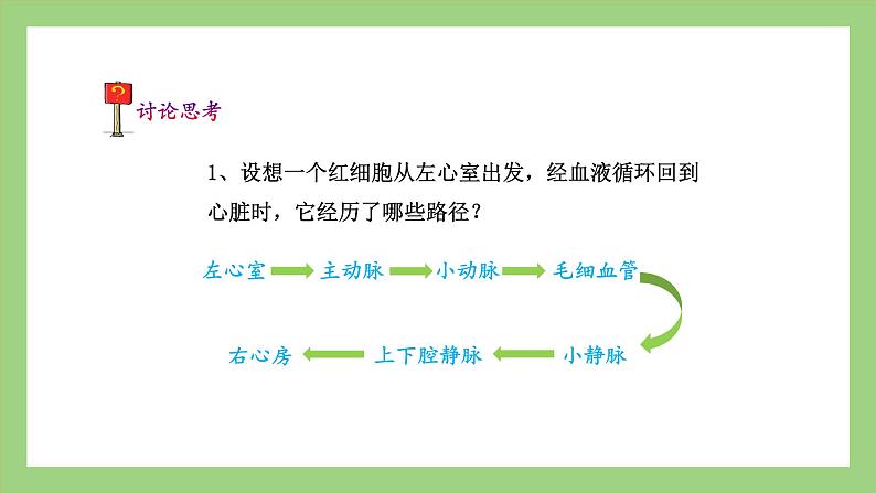 人教版七年级下册生物 4.4.3第2课时）输送血液的泵——心脏（（课件）06