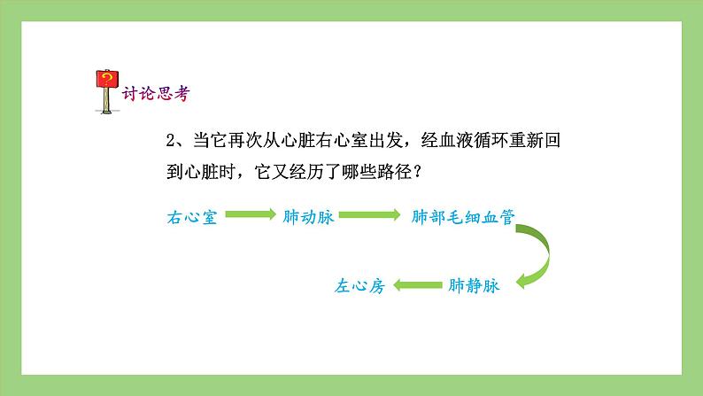 人教版七年级下册生物 4.4.3第2课时）输送血液的泵——心脏（（课件）07