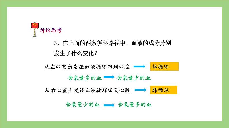 人教版七年级下册生物 4.4.3第2课时）输送血液的泵——心脏（（课件）08