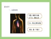 人教版七年级下册生物 4.4.3（第1课时）输送血液的泵——心脏（课件）