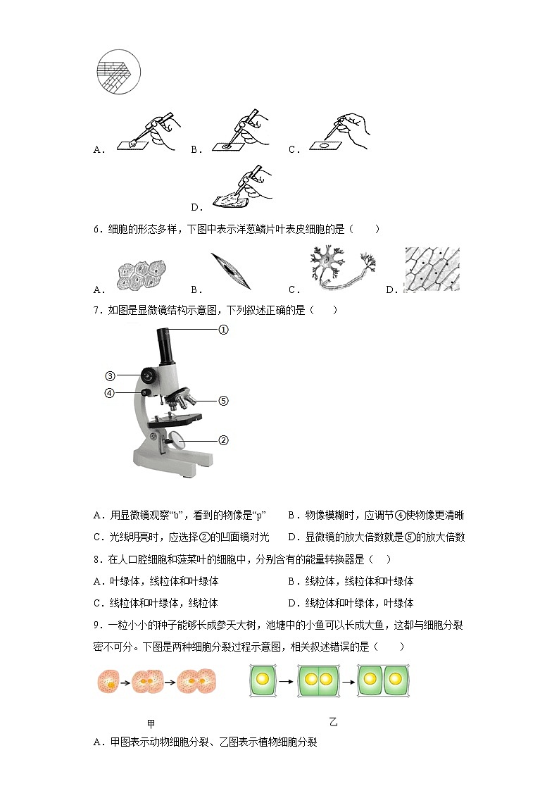 山东省菏泽市牡丹区2022-2023学年七年级上学期期中生物试题(含答案)第2页