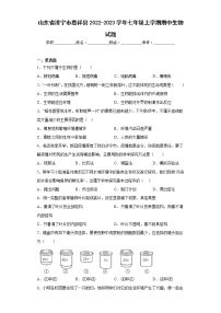 山东省济宁市嘉祥县2022-2023学年七年级上学期期中生物试题(含答案)