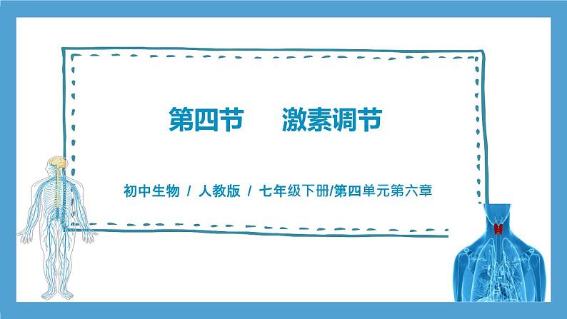 4.6.4《激素调节》课件+教案+习题01