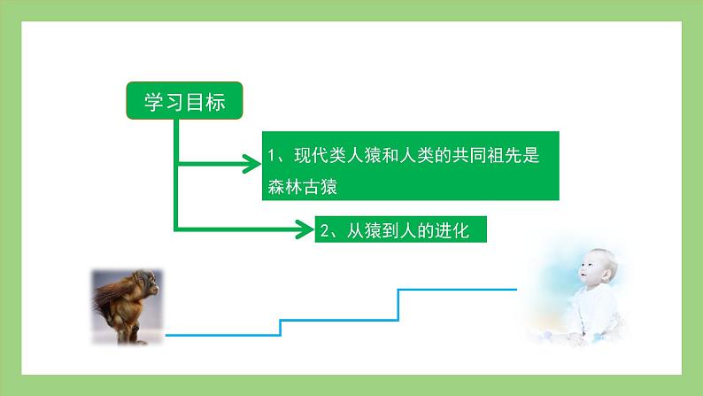 人教版七年级下册生物 4.1.1人类的起源和发展（课件）第2页
