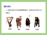 人教版七年级下册生物 4.1.1人类的起源和发展（课件）