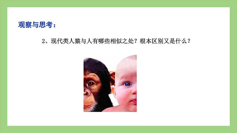人教版七年级下册生物 4.1.1人类的起源和发展（课件）第8页