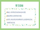 人教版七年级下册生物 4.6.2神经系统的组成（课件）