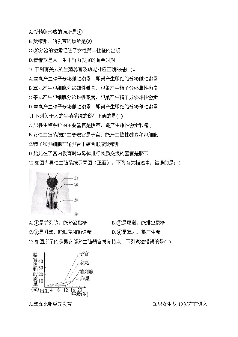 2023届中考生物高频考点专项练习：专题八 考点19 人类的起源和生殖（B卷）第3页