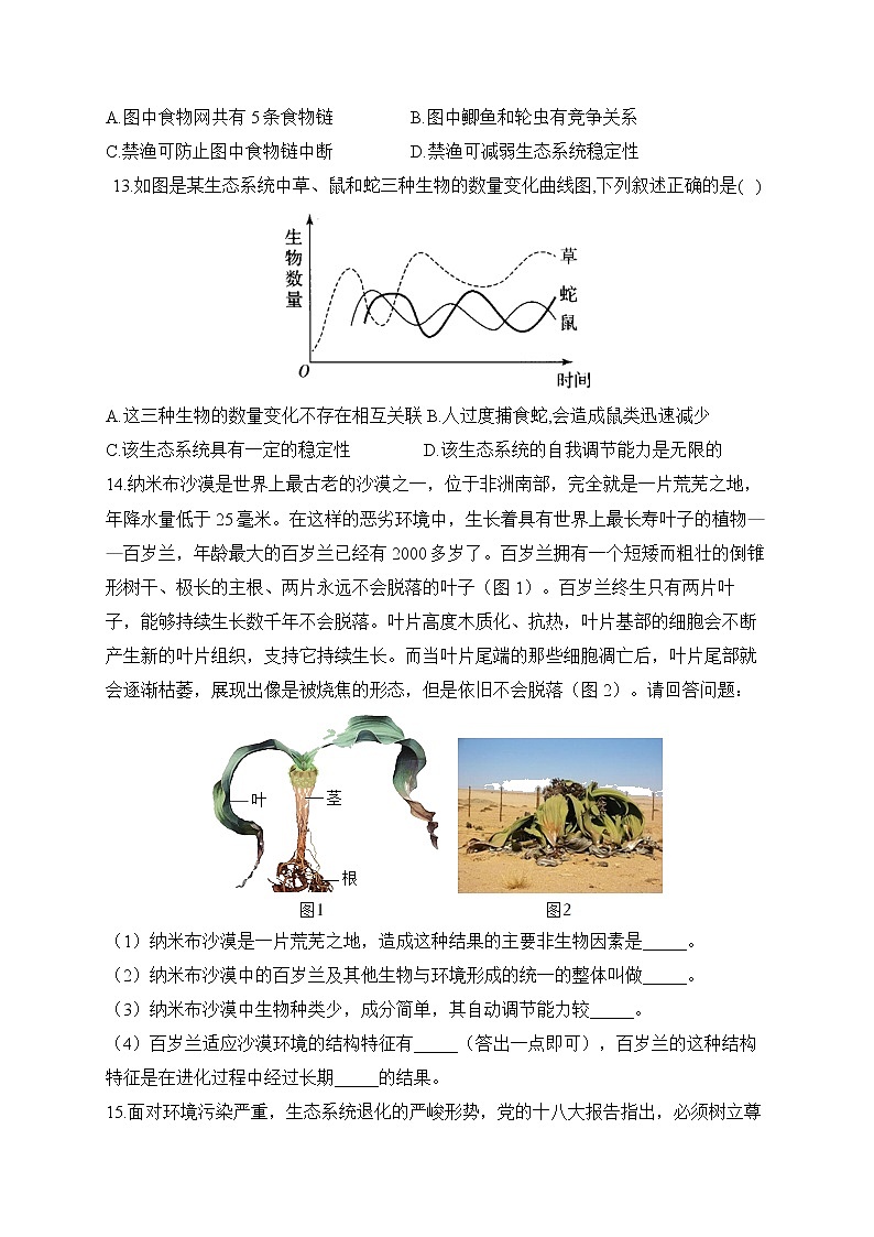 2023届中考生物高频考点专项练习：专题二 综合练习（A卷）第3页