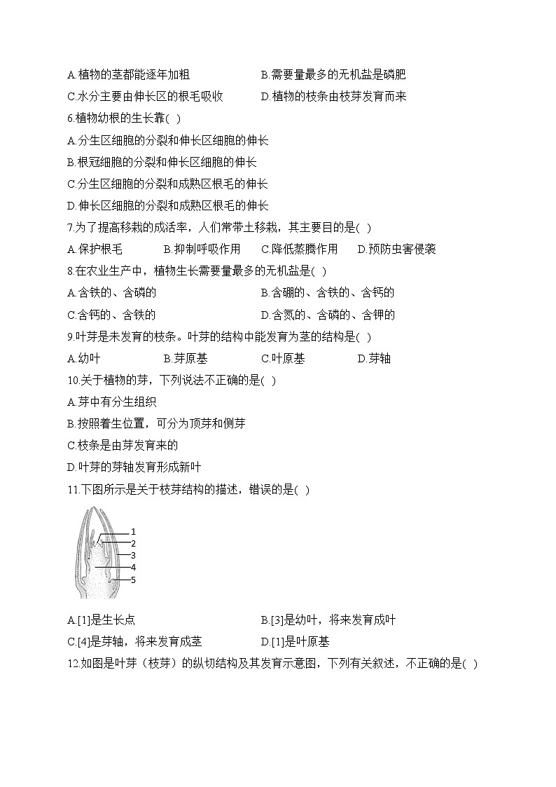 2023届中考生物高频考点专项练习：专题六 考点14 植物的生长（A卷）02