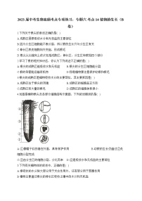 2023届中考生物高频考点专项练习：专题六 考点14 植物的生长（B卷）