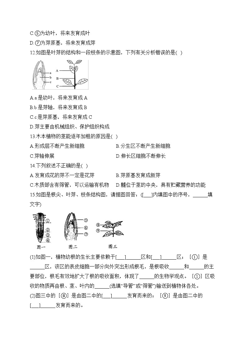2023届中考生物高频考点专项练习：专题六 考点14 植物的生长（B卷）第3页