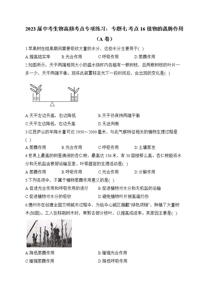 2023届中考生物高频考点专项练习：专题七 考点16 植物的蒸腾作用（A卷）01