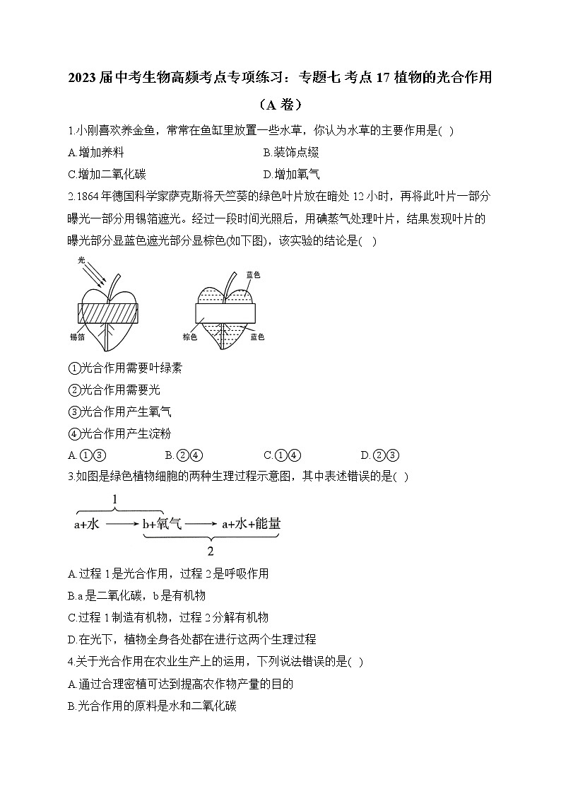 2023届中考生物高频考点专项练习：专题七 考点17 植物的光合作用（A卷）01