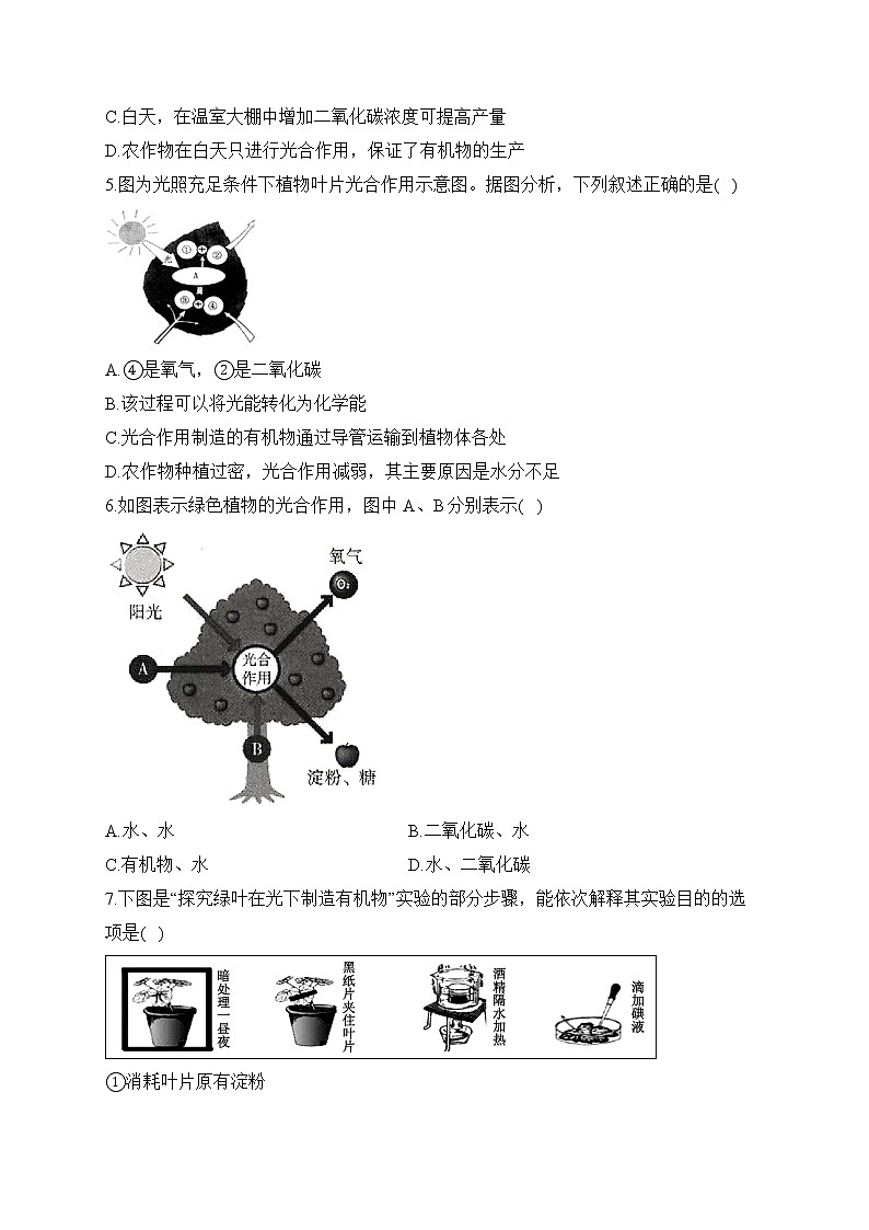 2023届中考生物高频考点专项练习：专题七 考点17 植物的光合作用（A卷）02