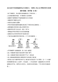 2023届中考生物高频考点专项练习：专题七 考点18 呼吸作用与生物圈中的碳_氧平衡（B卷）