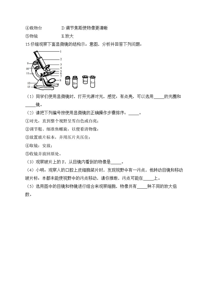 2023届中考生物高频考点专项练习：专题三 考点05 显微镜的构造和使用（A卷）03