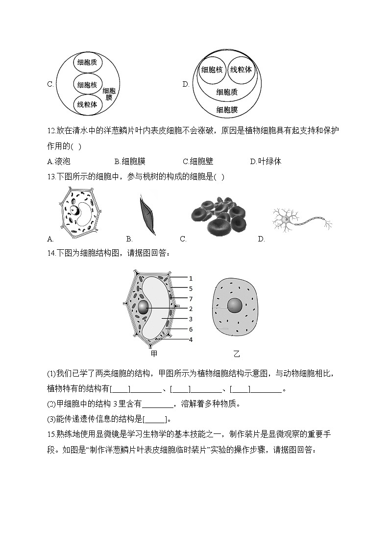2023届中考生物高频考点专项练习：专题三 考点06 动植物细胞的结构（B卷）03