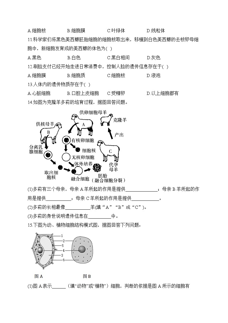 2023届中考生物高频考点专项练习：专题三 考点07 细胞的生活（A卷）02