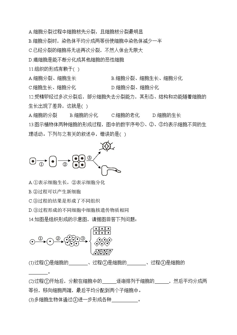 2023届中考生物高频考点专项练习：专题四 考点08 细胞的分裂、生长、分化（A卷）第2页