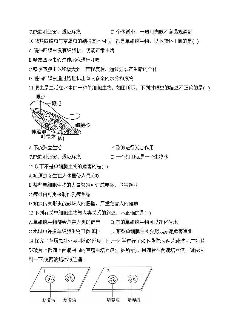 2023届中考生物高频考点专项练习：专题四 考点10 单细胞生物（B卷）第2页