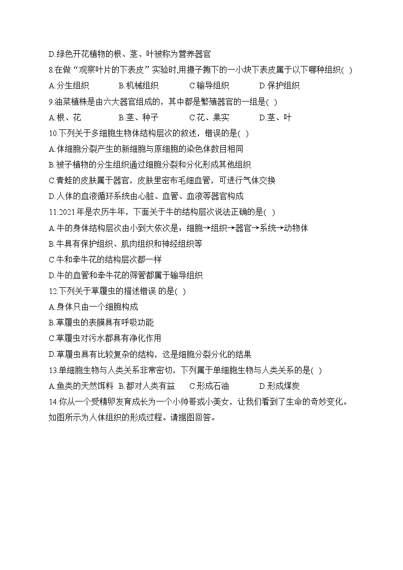2023届中考生物高频考点专项练习：专题四 综合练习（B卷）第2页