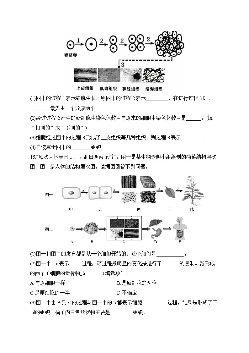 2023届中考生物高频考点专项练习：专题四 综合练习（B卷）第3页