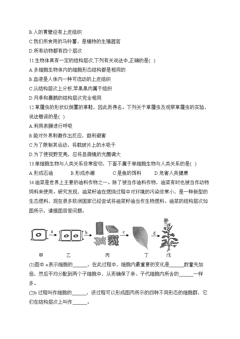 2023届中考生物高频考点专项练习：专题四 综合练习（A卷）第2页