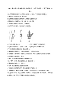 2023届中考生物高频考点专项练习：专题五 考点11 孢子植物（B卷）