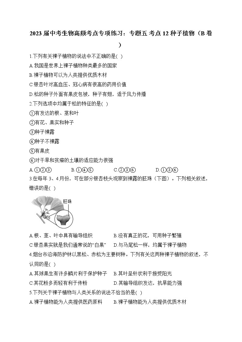2023届中考生物高频考点专项练习：专题五 考点12 种子植物（B卷）01