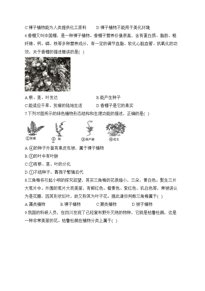 2023届中考生物高频考点专项练习：专题五 考点12 种子植物（B卷）02