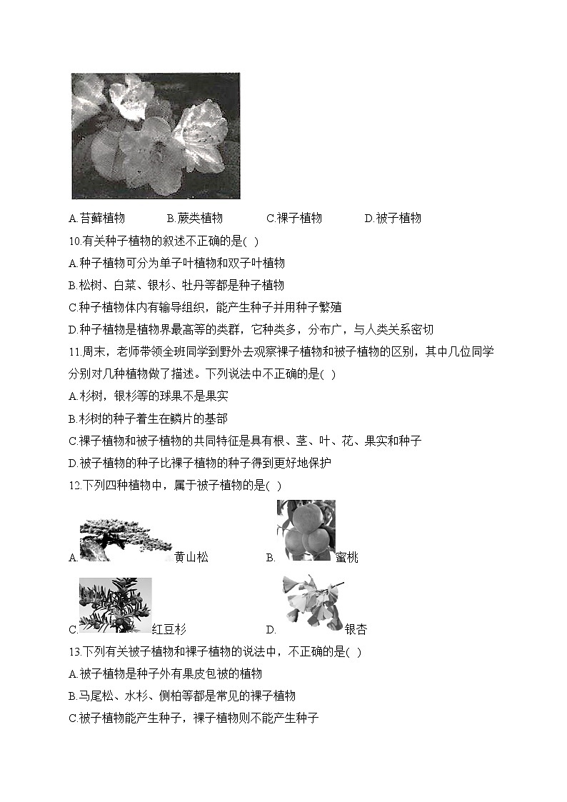 2023届中考生物高频考点专项练习：专题五 考点12 种子植物（B卷）03