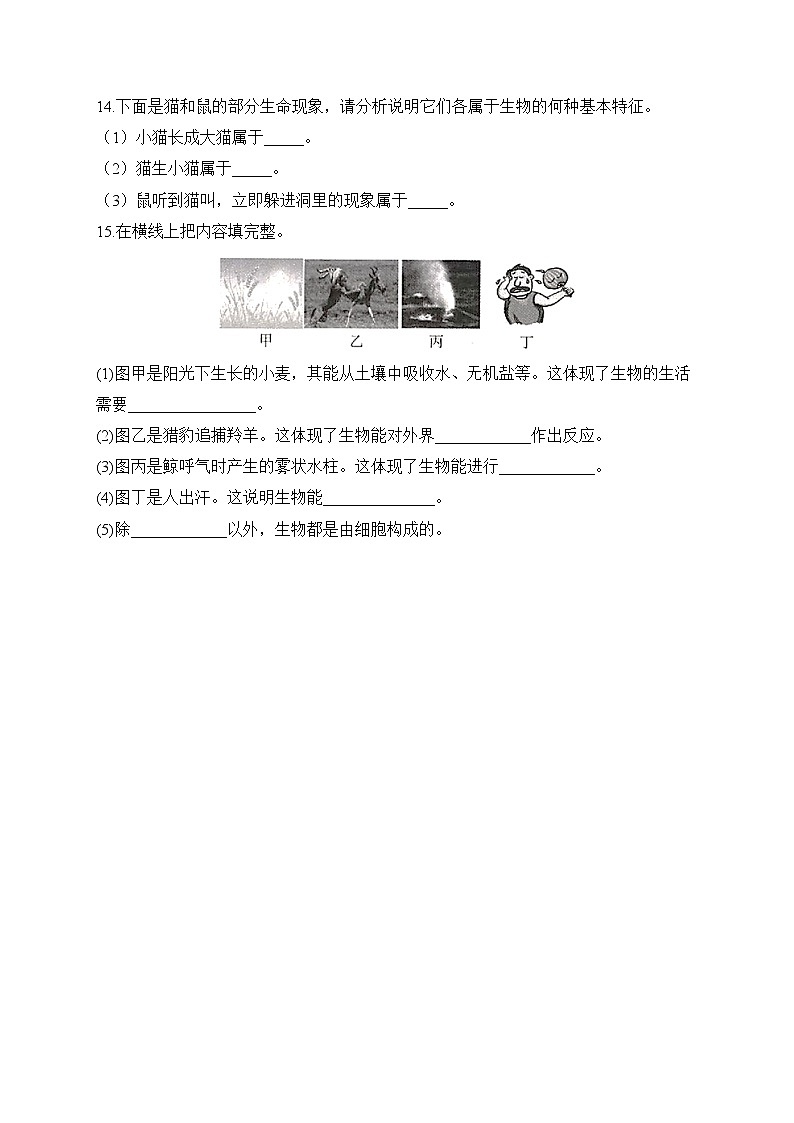 2023届中考生物高频考点专项练习：专题一 考点01 生物的特征（B卷）第3页