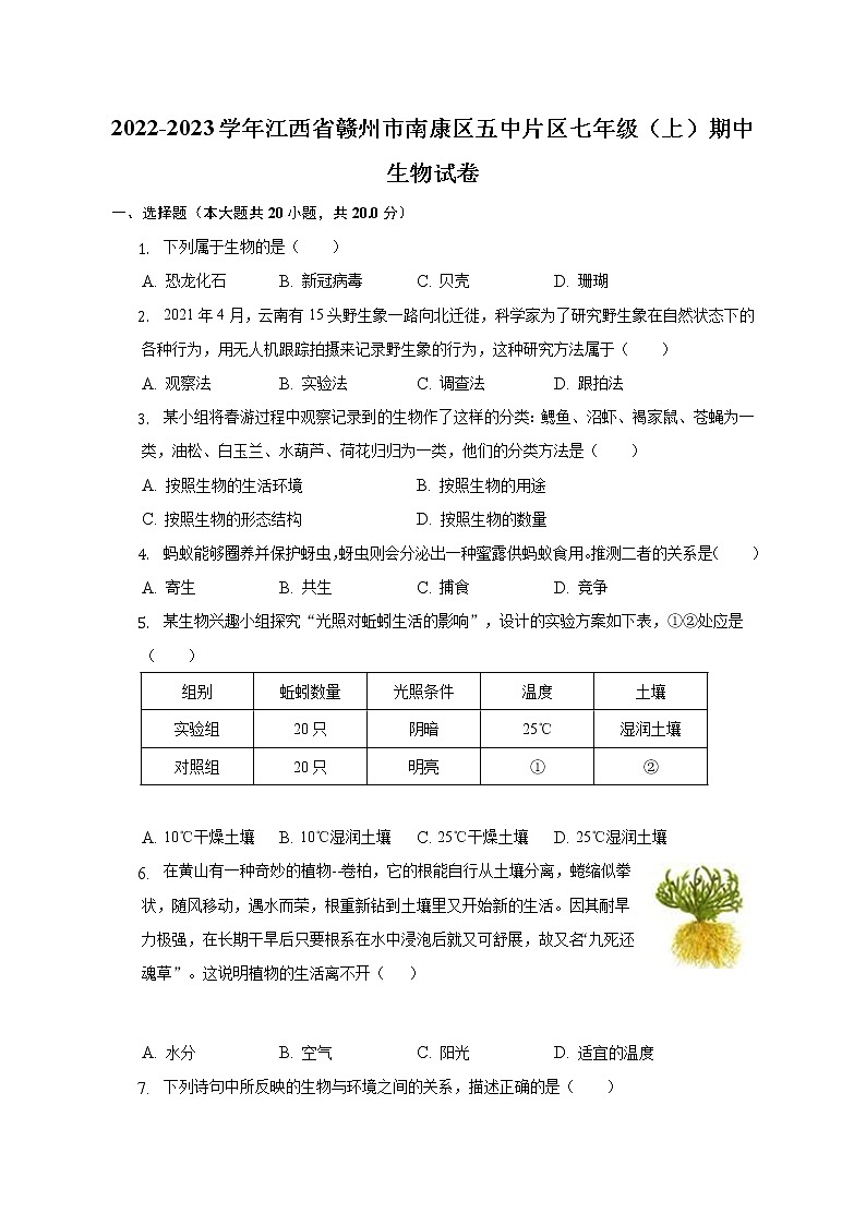 江西省赣州市南康区五中片区2022-2023学年七年级上学期期中生物试卷(含答案)01