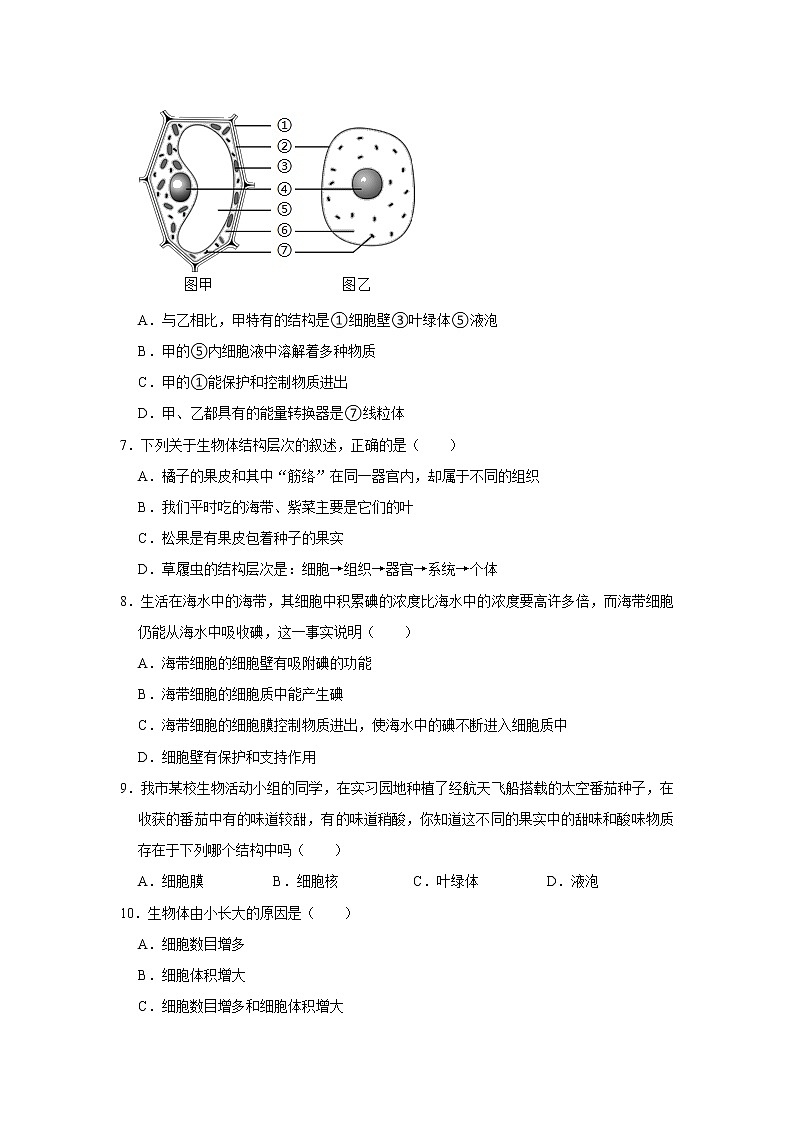 四川省内江市威远县凤翔中学2022-2023学年七年级上学期期中生物试卷(含答案)第2页