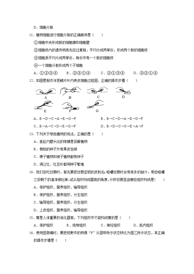 四川省内江市威远县凤翔中学2022-2023学年七年级上学期期中生物试卷(含答案)第3页